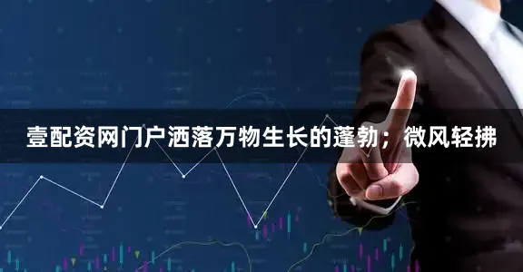 壹配资网门户洒落万物生长的蓬勃；微风轻拂